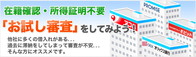 お試し審査
